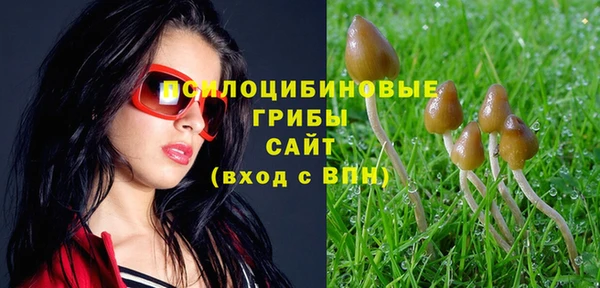 наркотики Белокуриха