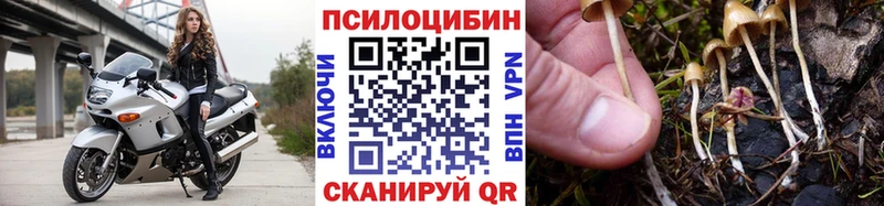 Псилоцибиновые грибы мицелий blacksprut ТОР Купино